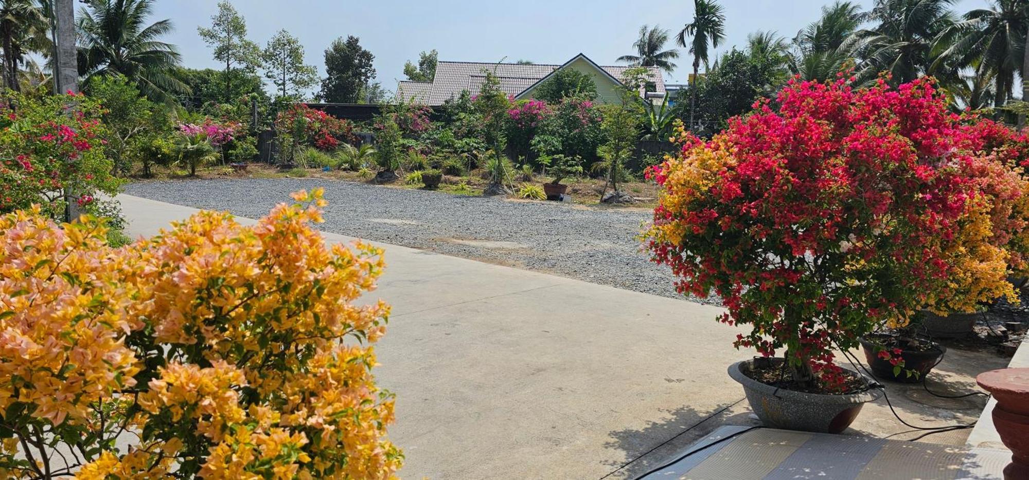 Nha Nghi Truc May Ben Tre Экстерьер фото